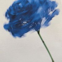 thoughts by nobody (@somethoughttsss) 's Twitter Profile