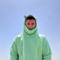 Invisible Cactus (@pusvoid) 's Twitter Profile