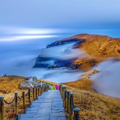 742F061C's profile picture. Donatella