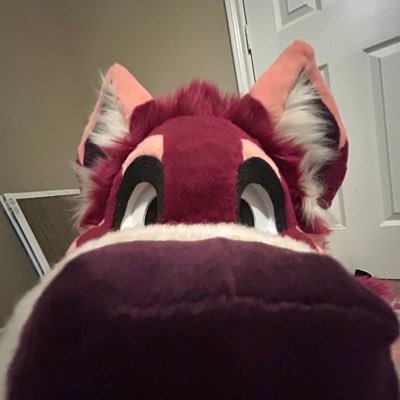 Rose 🌊🔜MFF➡️ANE?さんのプロフィール画像