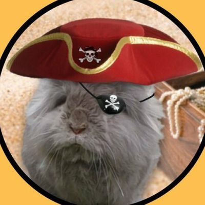 Yoos may finkz my @naym odd az Rosie butz mummy waz told I waz a gurl until her took me fur spayin at 10 monfs old....Rosie iz now Reggie 🐇Brigadear in #zshq