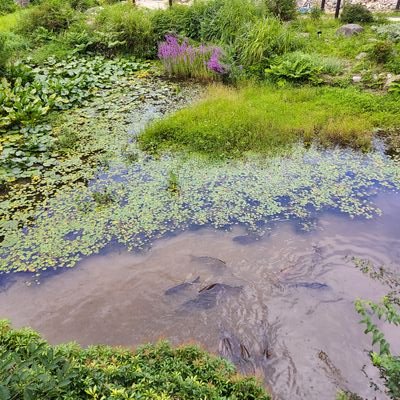 rhythm_n1's profile picture. 兵庫県民、斎藤知事応援。アイコンを兵庫県の写真にしてます。

ブロック、フォロー解除などお好きにお願いします。
フォロワーさん確認できましたらフォロバします。