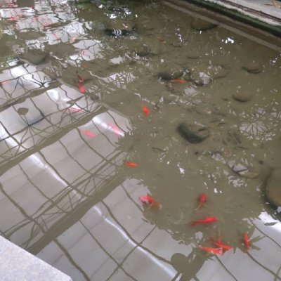 urudemeyo's profile picture. Metaverse creator innovating blockchain tech