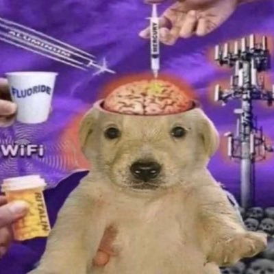 ㄷㄹさんのプロフィール画像