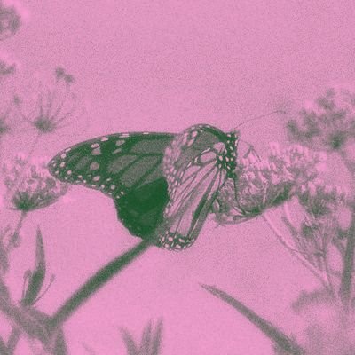 soleilearth's profile picture. Ruangnya sang Puan untuk berkarya mengeluarkan segala ide yang menghuni kepalanya.