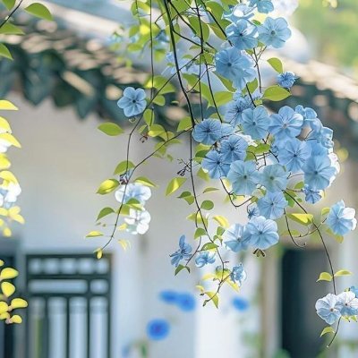 MoradiAtef94133's profile picture. دختر کوچک حاج قاسم