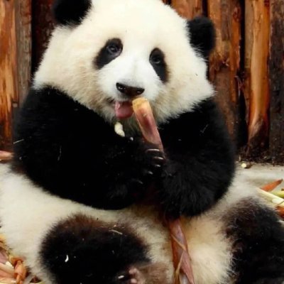 K19Keelyn's profile picture. Web3 strategist trading NFTs