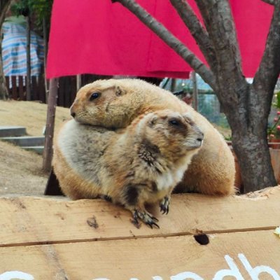 ebebupikuy15001's profile picture. Privacy advocate evangelizing blockchain technology