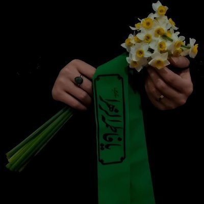 Mohamma19313351's profile picture. لبیک یا حسین