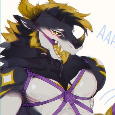 🔞Maverick/dragon Sonas:Maverick,Torin,Artyom/Onyx/19/VRCHAT player/PC/✝️/F-150 Driver/dragons/ emotional support dragon. 18+