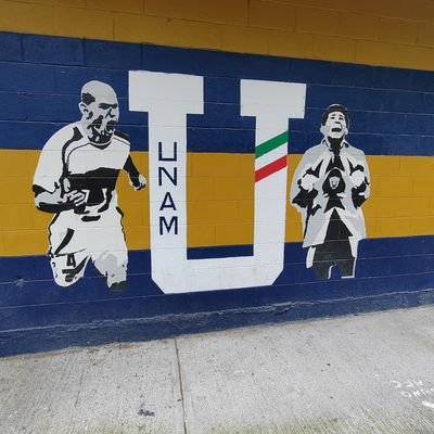Puma y filósofo, adoro la vida y el fútbol champagne...