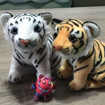 nounou550's profile picture. Layer 2 evangelist architecting blockchain solutions