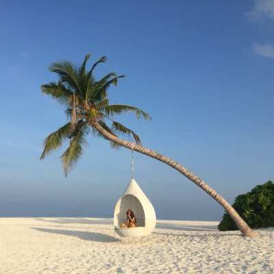 przegendza135's profile picture. Crypto analyst studying crypto economics