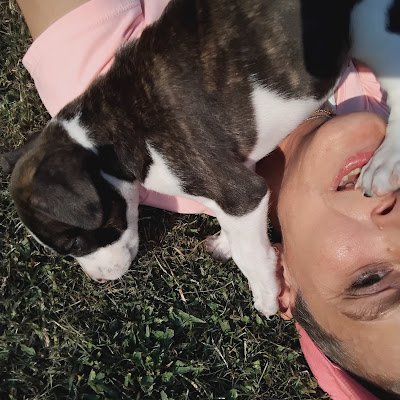 AngelaIamme's profile picture. 