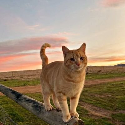 dikshita_8's profile picture. はじめまして   | Engineer 🖥                                                            
Music | Travel | Geek