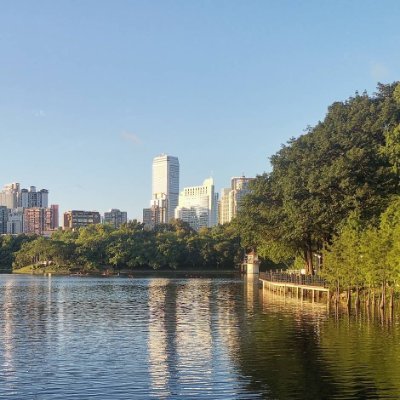 BoeveCeles's profile picture. Crypto collector consulting Web3 projects