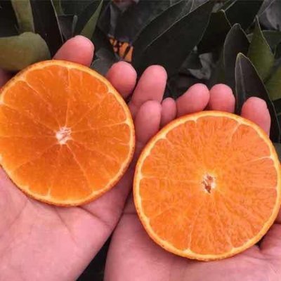 ThurnerCan14's profile picture. Cross-chain pioneer empowering new users