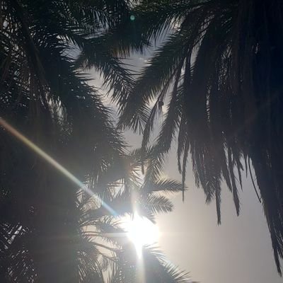 خياااالات شاعر
اغلب تغريداتي واشعاري من مخيلتي لا اقتبس، احب الشعر من الصبا واحب الوحده واعشق البر عنواني النجاح لايهمني المال والأثرياء احب البسطاء واحب الكل