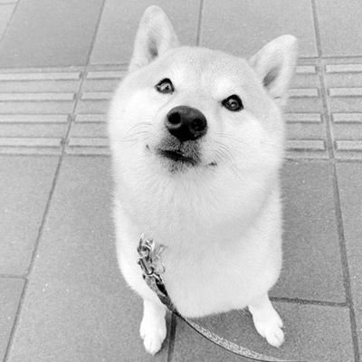 Tenkaishiki's profile picture. 