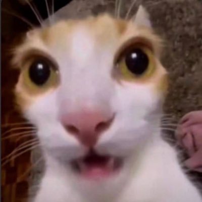 howryu0's profile picture. 🎸 | 2 Chronicles 15:7