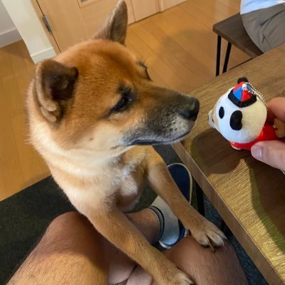 U9kHTKb4Hh73112's profile picture. 