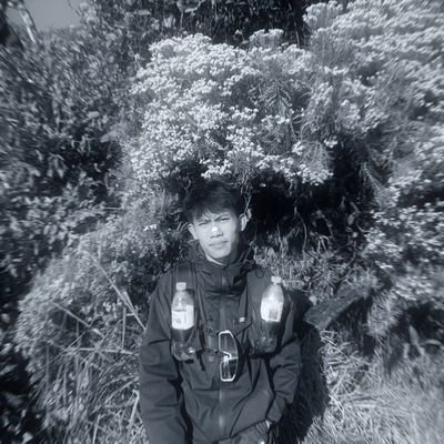 NndaXml's profile picture. #CrunchieOG
@CNPYNetwork