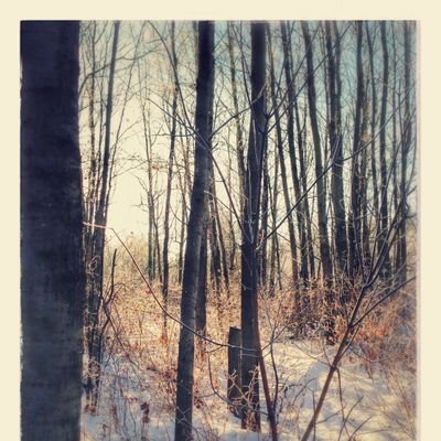 AlphaWolf389's profile picture. 