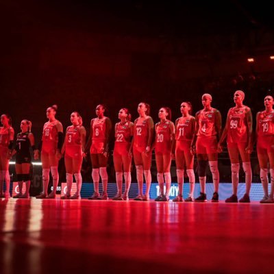 volleydramas's profile picture. sadece voleybol