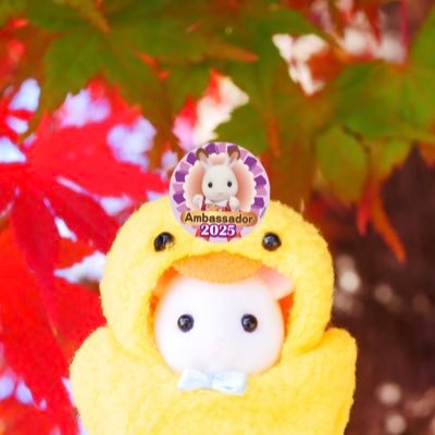 ひよこくん様 リクエスト 3点 まとめ商品 ぴよこ様 リクエスト 3点 まとめ商品 - メルカリ