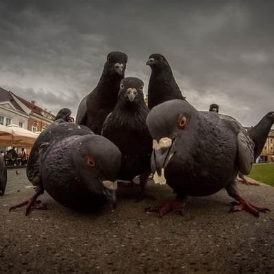 artsguiさんのプロフィール画像