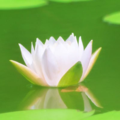 迅さんのプロフィール画像