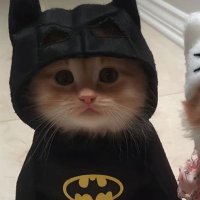 Mehmet akif (@mehmetakifgrr) 's Twitter Profile