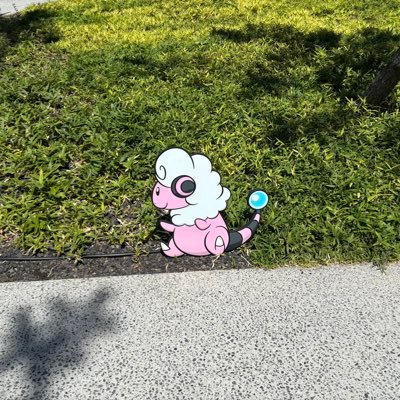 熊キチさんのプロフィール画像