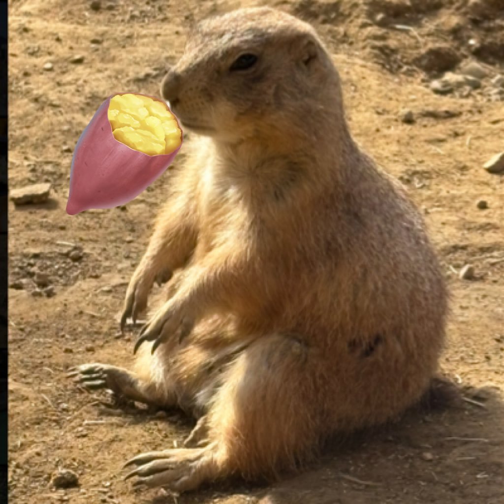 ウニさんのプロフィール画像