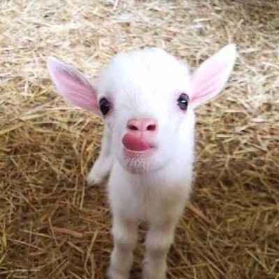 maemmaehanda's profile picture. 그건 중요하지 않다