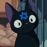 _alm_ai's profile picture. אני פה בשביל החתולים ולפעמים כדי להביך את עצמי בעברית