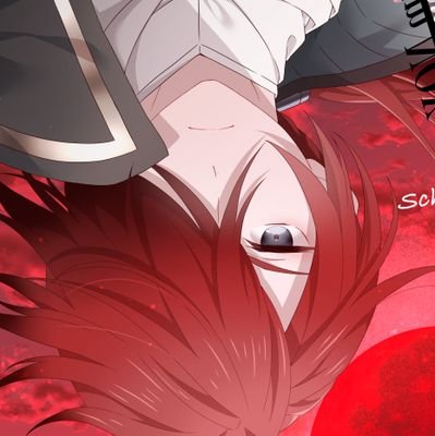 Schwarzer Kran☘️さんのプロフィール画像