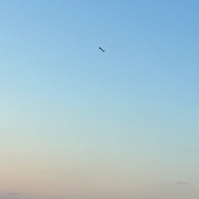 gWIDSWYHyeTEpcF's profile picture. 