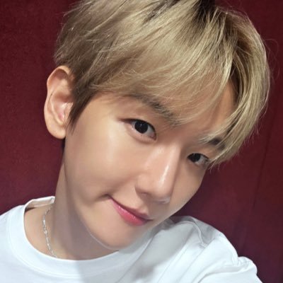 PRODRIVER100's profile picture. @B_hundred_Hyun ♡ @BAEKHYUN_INB100 ♡⁼³₌₃
