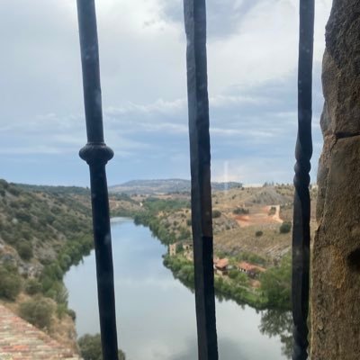 AzucenaMoraga's profile picture. 