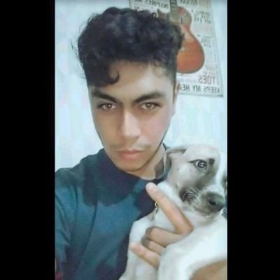 Sé hacer cosas.
Ingeniería, deportes, física, estar con mi cachorra.