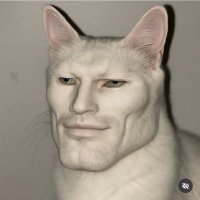 Mewing Cat (@mewingc42798) 's Twitter Profile