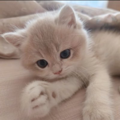 susukyeong's profile picture. sub/m 🌈喜欢女的