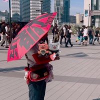 yuca🐺🍎🎸🎶 (@yucaxmwamx8929) 's Twitter Profile