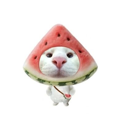 pngnokhr14668's profile picture. @ส่องฟรีไม่คิดเงิน🤣🤣