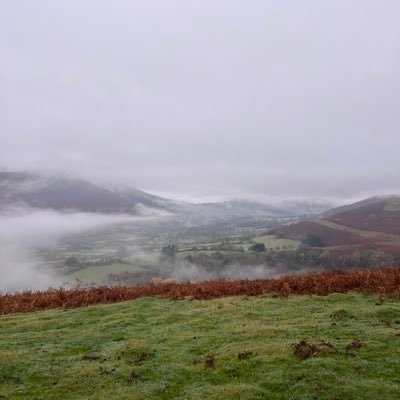 KyleKndy41's profile picture. 