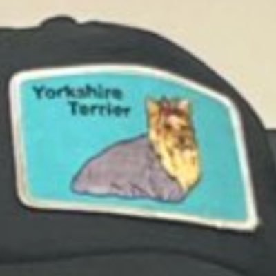 rA9TiJ5BaV31827's profile picture. 🍊