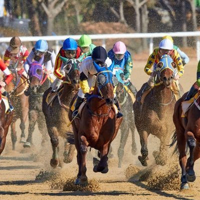 Free EV+ USA horse racing group. DM to get involved. been running 50% ROI