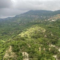 Roots_and_shoots (@jbshoots_roots) 's Twitter Profile