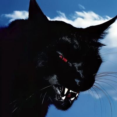 lilzieexc's profile picture. beneran cuma writing acc☝🏼